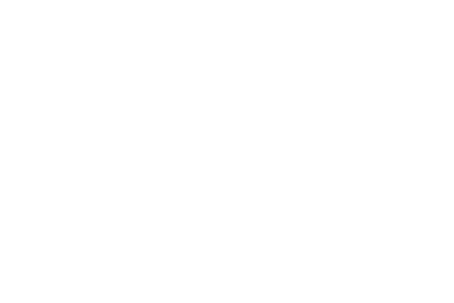 larsa-white-logo-v2